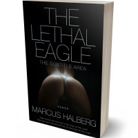3D view of Premade Erotica Book Cover - Cod Gray