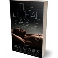 Tablet view of Cod Gray #27369 - Premade Erotica Book Cover