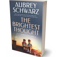 3D view of Premade Education Book Cover - River Bed