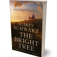 Tablet view of Tumbleweed #27427 - Premade Family & Parenting Book Cover