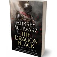 Tablet view of Bison Hide #27445 - Premade Historical Book Cover