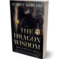 3D view of Cinder #27530 - Premade Historical Book Cover