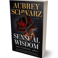 Tablet view of Thunder #27533 - Premade Romance Book Cover