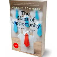 3D view of Premade Business Book Cover - Gray Nickel