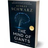 Tablet view of Black Pearl #27563 - Premade Literary Fiction Book Cover