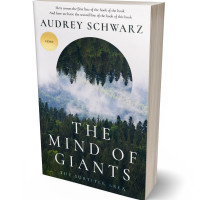 Tablet view of Outer Space #27567 - Premade Nature Book Cover