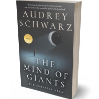 Tablet view of Abbey #27572 - Premade Abstract Book Cover