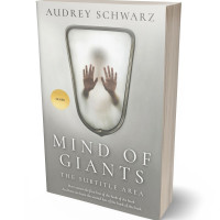 Tablet view of Celeste #27575 - Premade Abstract Book Cover