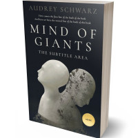 Tablet view of Nomad #27577 - Premade Abstract Book Cover