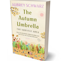 Tablet view of Linen #27637 - Premade Literary Fiction Book Cover