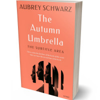 3D view of Premade Romance Book Cover - Salmon