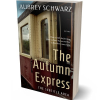 3D view of Premade Travel Book Cover - Night Rider