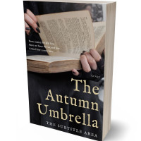 3D view of Premade Fantasy Book Cover - Thatch