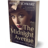 3D view of Premade Historical Book Cover - Thunder