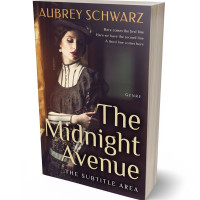 3D view of Premade Romance Book Cover - Thunder