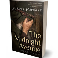 3D view of Oil #27682 - Premade Religion & Spirituality Book Cover