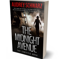 3D view of Premade Historical Book Cover - Quicksand