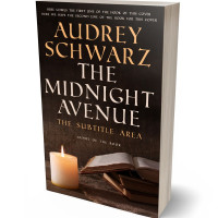 3D view of Premade Religion & Spirituality Book Cover - Night Rider