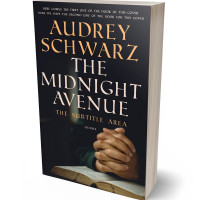 3D view of Premade Religion & Spirituality Book Cover - Shark