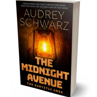 3D view of Graphite #27738 - Premade Historical Book Cover | BookCoverZone