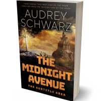 3D view of Premade Fantasy Book Cover - Oil