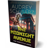 3D view of Premade Historical Book Cover - Husk