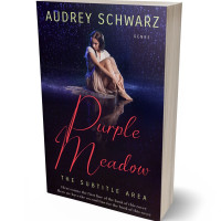 Tablet view of Ebony #27790 - Premade Teen & Young Adult Book Cover