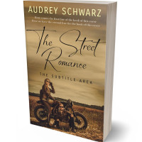 3D view of Premade Travel Book Cover - Barley Corn