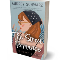 3D view of Premade Teen & Young Adult Book Cover - Pewter