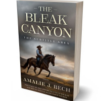 Tablet view of Armadillo #27856 - Premade Action & Adventure Book Cover