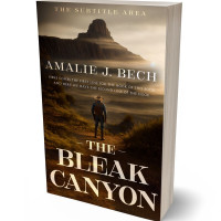 Tablet view of Sambuca #27859 - Premade Western Book Cover