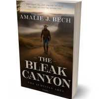 3D view of Premade Action & Adventure Book Cover - Oil