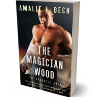 Tablet view of Cameo #27947 - Premade Erotica Book Cover