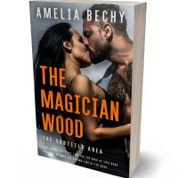 Tablet view of Di Serria #27949 - Premade Erotica Book Cover