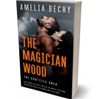 3D view of Premade Erotica Book Cover - Di Serria