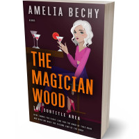 3D view of Premade Chick Lit Book Cover - Tamarind