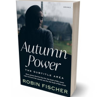 3D view of Premade Romance Book Cover - Silver Sand