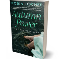 3D view of Premade Teen & Young Adult Book Cover - Aztec