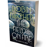 3D view of Premade Fantasy Book Cover - Mirage