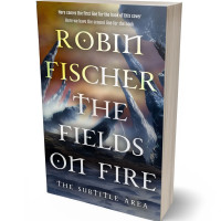 3D view of Premade Fantasy Book Cover - Ship Gray