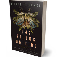 3D view of Premade Fantasy Book Cover - Cocoa Brown