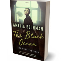 3D view of Premade Romance Book Cover - Beryl Green