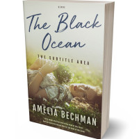 3D view of Premade Romance Book Cover - Moon Mist