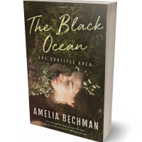 3D view of Premade Teen & Young Adult Book Cover - Birch