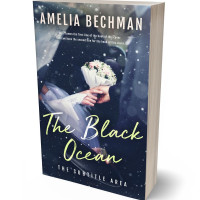 3D view of Premade Romance Book Cover - Ebony Clay