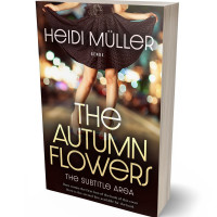 3D view of Premade Erotica Book Cover - Brandy