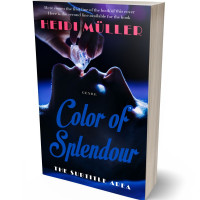 3D view of Premade Erotica Book Cover - Ebony