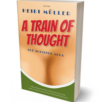 3D view of Premade Erotica Book Cover - Manhattan