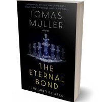 3D view of Premade Business Book Cover - Cinder