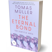 Tablet view of Moon Raker #28485 - Premade Science Fiction Book Cover